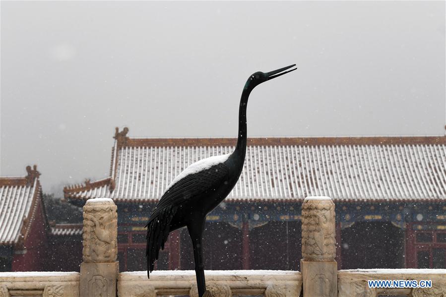 CHINA-BEIJING-SNOWFALL (CN)