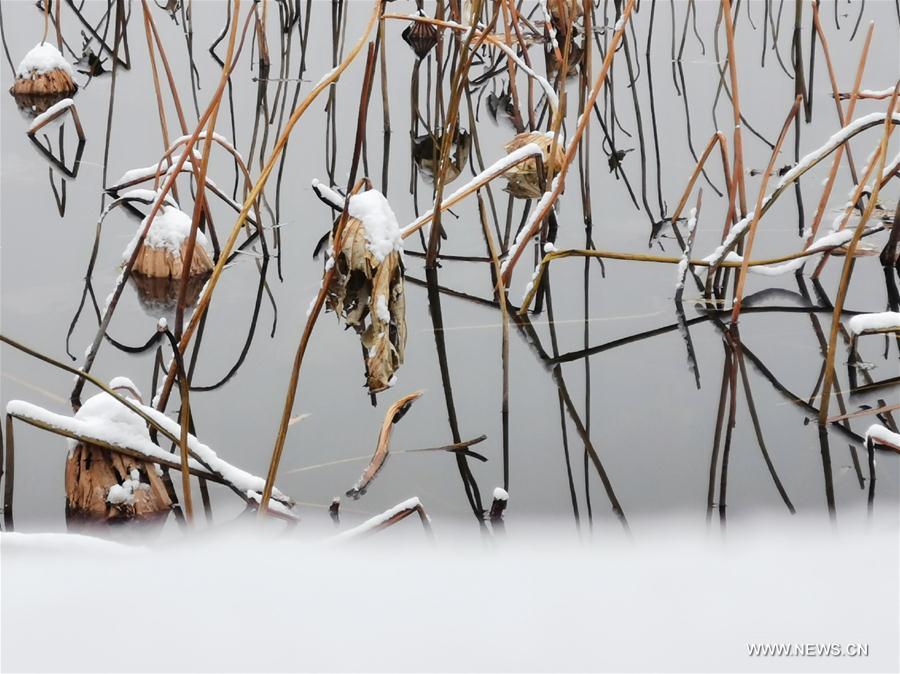 (BeijingCandid)CHINA-BEIJING-WINTER-BEIHAI PARK (CN)