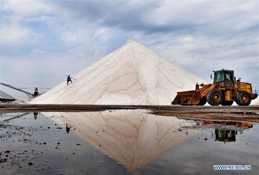 XINHUA-PICTURES OF THE YEAR 2019