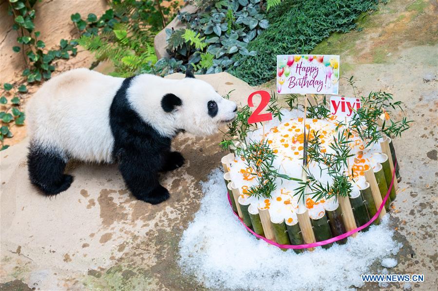 MALAYSIA-KUALA LUMPUR-GIANT PANDA-BIRTHDAY