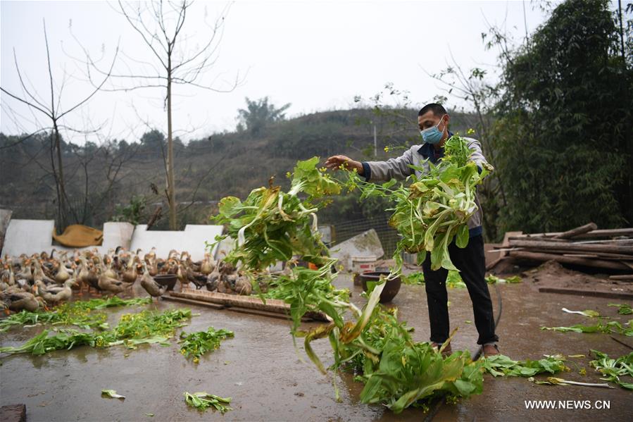 CHINA-CHONGQING-NCP-PREVENTION-POVERTY ALLEVIATION (CN)