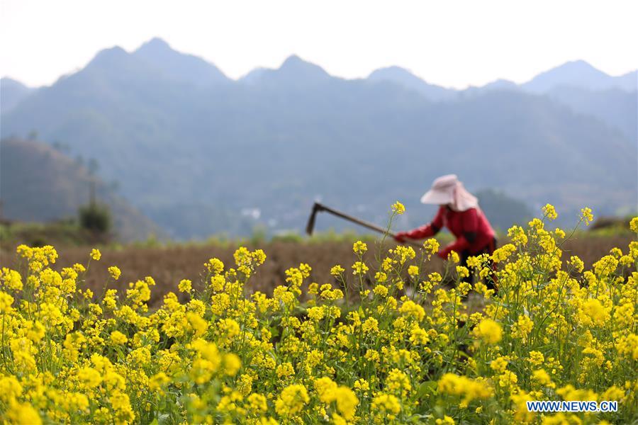 #CHINA-SPRING-FARMING (CN)