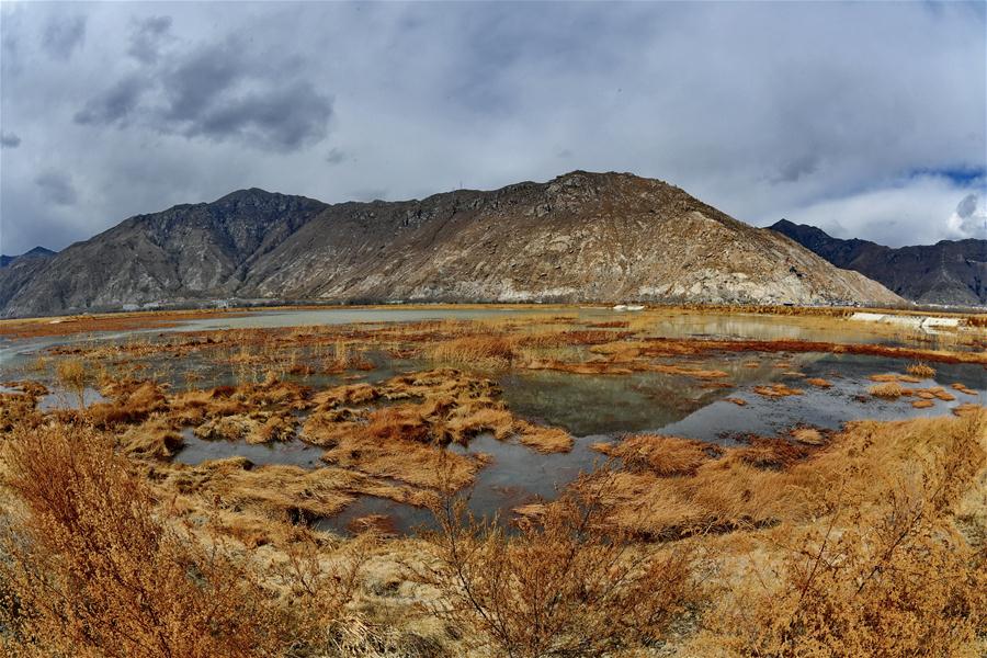 CHINA-TIBET-LHASA-LHALU WETLAND (CN)