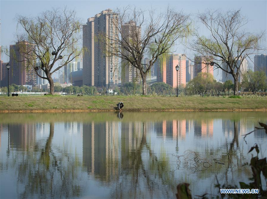 CHINA-HUBEI-WUHAN-SPRING SCENERY (CN)