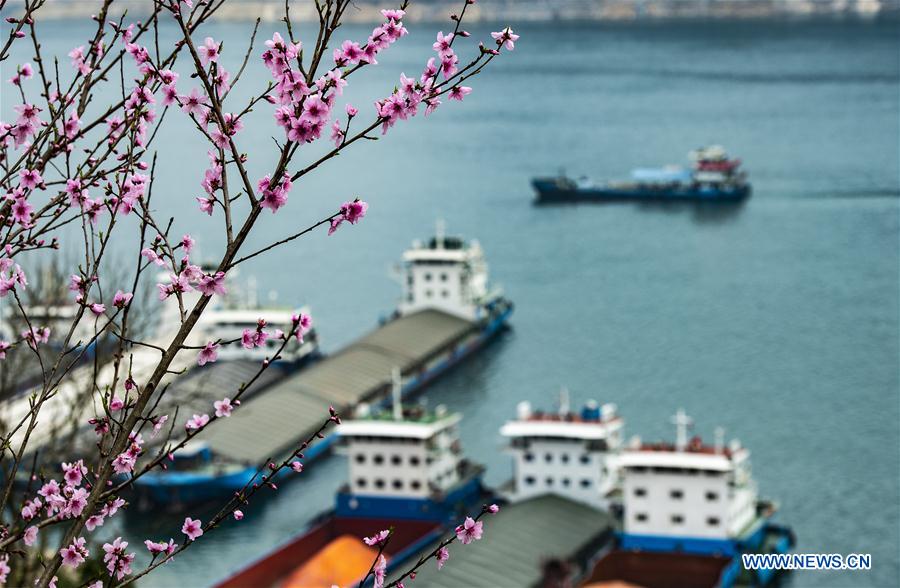 #CHINA-HUBEI-YICHANG-THREE GORGES-SPRING SCENERY (CN)