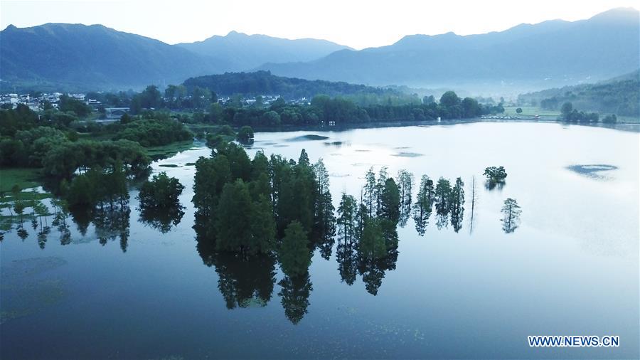 CHINA-ANHUI-YIXIAN-SUMMER SCENERY (CN)