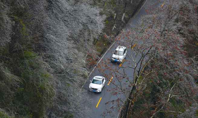 Cold wave brings frost scenery to central China's Hunan