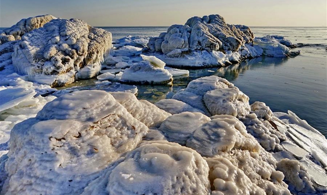 Sea ice shown in Qinhuangdao, N China's Hebei