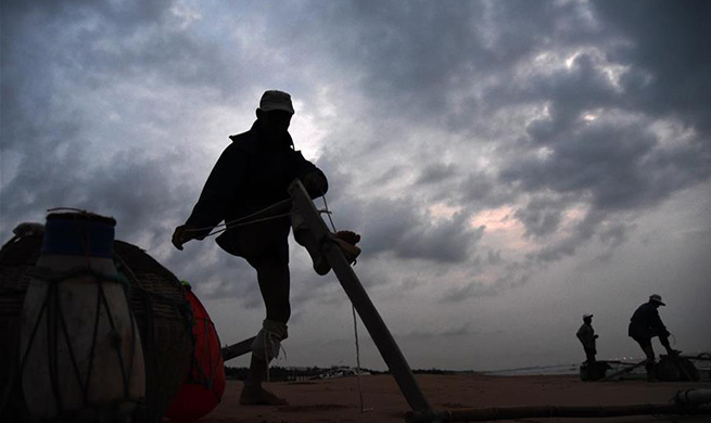 Fishermen catch shrimps in Rizhao, E China's Shandong