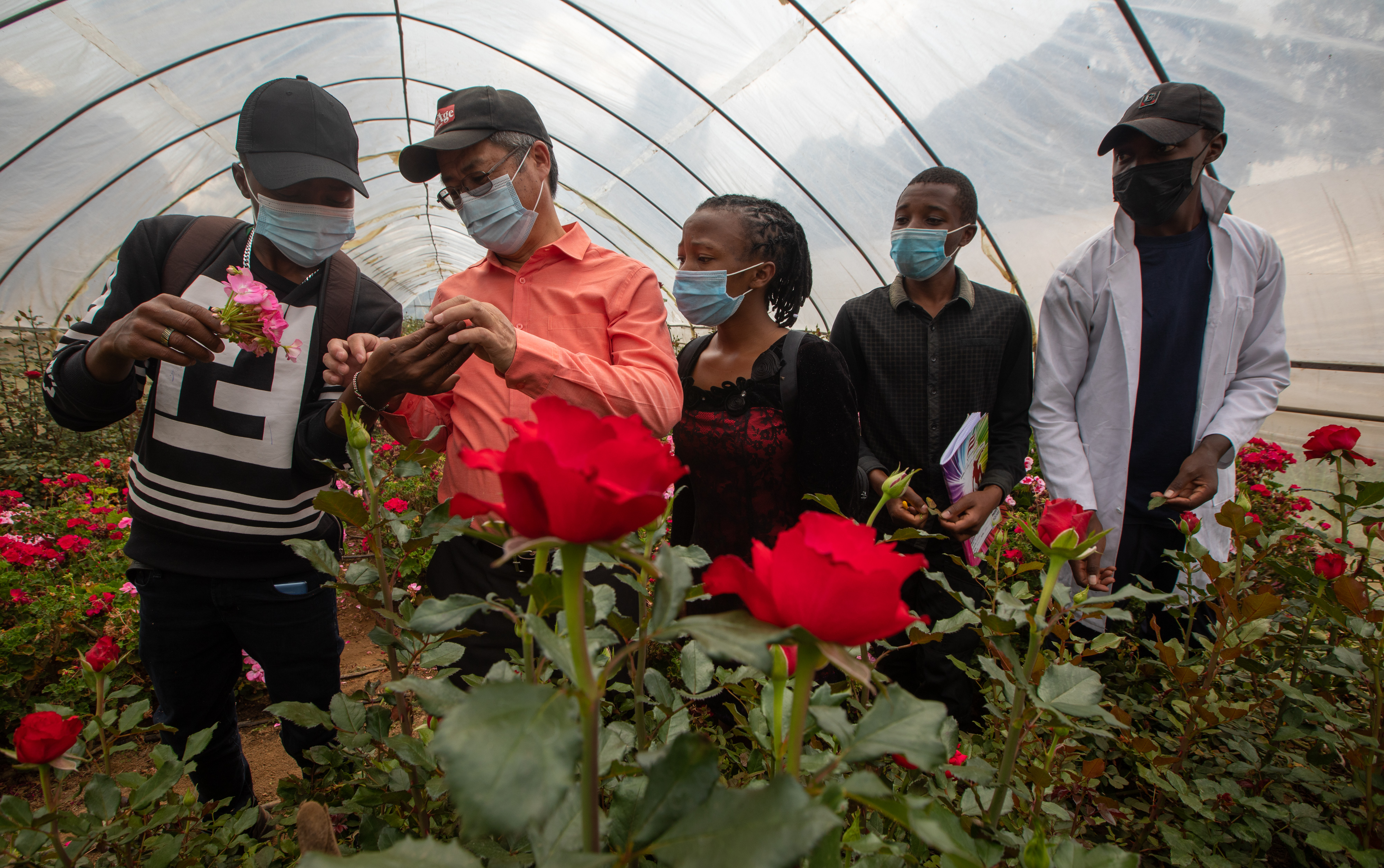 GLOBALink | Kenya-China collaborative biotech research bears fruit