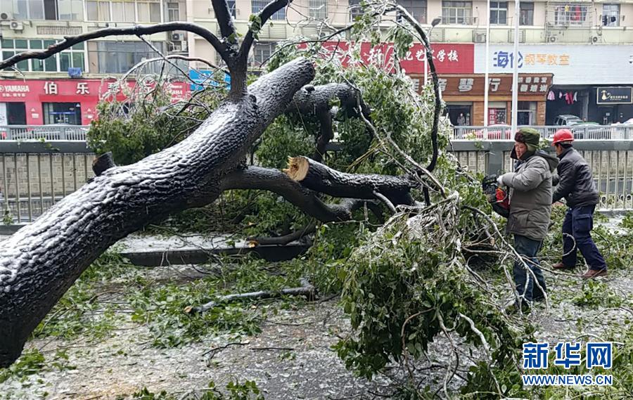 （新華全媒頭條）（7）雨雪冰凍中，他們奮力前行——基層黨員干群抗擊冰雪災(zāi)害紀(jì)實(shí)