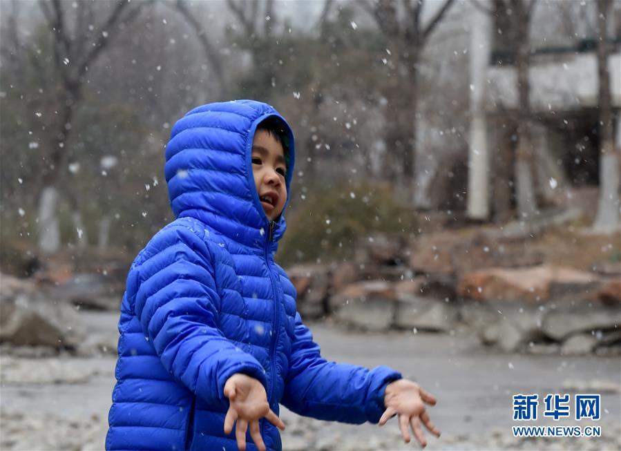 （環(huán)境）（1）北京迎來(lái)春雪