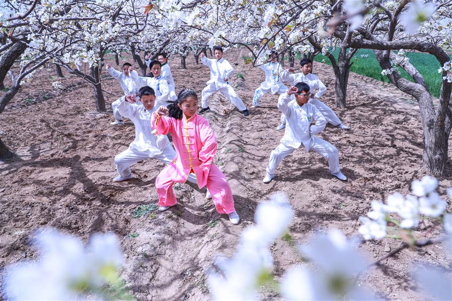 #（社會(huì)）（3）梨花林里舞太極