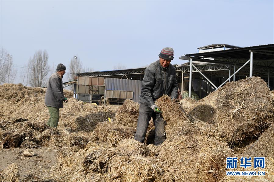 （在習(xí)近平新時代中國特色社會主義思想指引下——新時代新氣象新作為·鄉(xiāng)村振興戰(zhàn)略·圖文互動）（2）“與其放火，不如打包”——山西渾源秸稈綜合再利用見聞