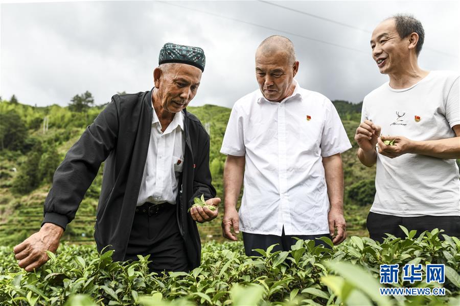 （新華全媒頭條·圖文互動）（7）同心援疆，“壯闊”祖國西北角