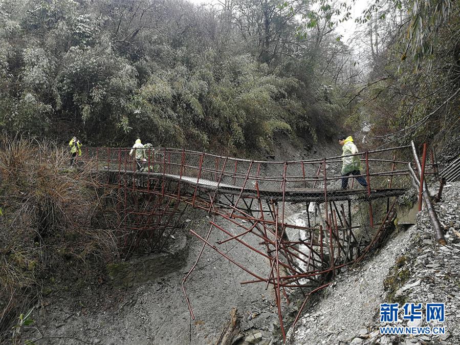 （圖文互動）（3）風(fēng)雪臥龍話熊貓