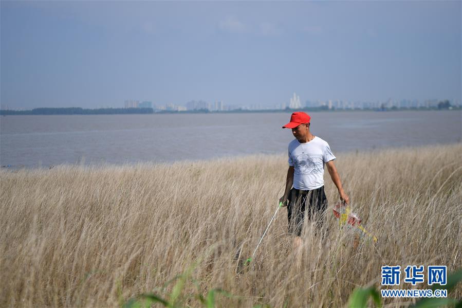 （新華全媒頭條·圖文互動）（7）大湖新歌——我國兩大淡水湖全面生態(tài)修復進行時