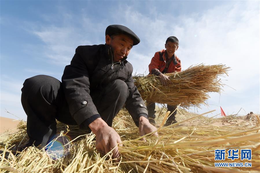 （在習(xí)近平新時(shí)代中國(guó)特色社會(huì)主義思想指引下——新時(shí)代新作為新篇章·習(xí)近平總書記關(guān)切事·圖文互動(dòng)）（5）綠色映底蘊(yùn)，山水見初心——生態(tài)優(yōu)先、綠色發(fā)展持續(xù)造福群眾美好生活