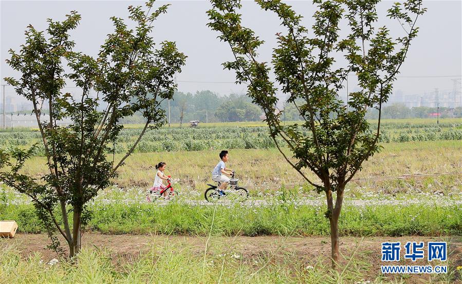 （新華全媒頭條·走向我們的小康生活·圖文互動）（14）城市，讓人民生活更美好