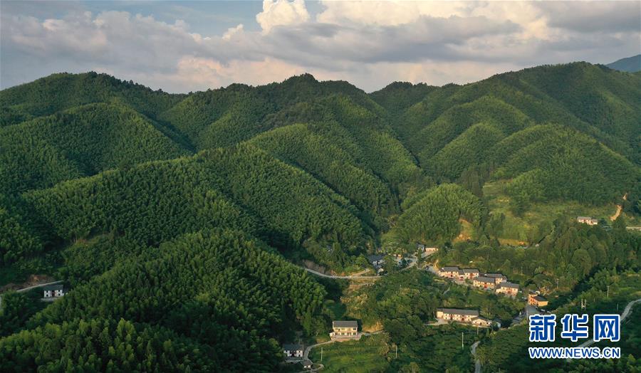 （新華全媒頭條·走向我們的小康生活·圖文互動(dòng)）（2）神山村“神奇”何在？——井岡山深處覓答案