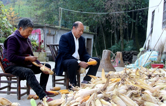 十九大代表陳分新：鼓足干勁 振興鄉(xiāng)村