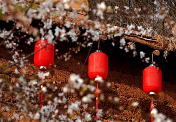 大山里的“愛和小鎮(zhèn)”：當鄉(xiāng)村遇上藝術(shù)