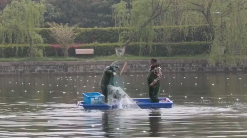 別人家的學校！安師大請師生吃一萬斤魚